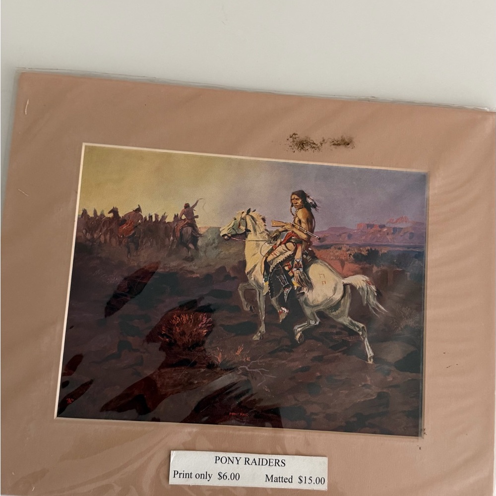 Pony Raid Art Print